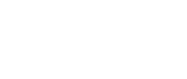 Immagine della mascotte del progetto STAKE